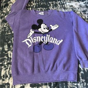 Long sleeve Disneyland sweater - purple